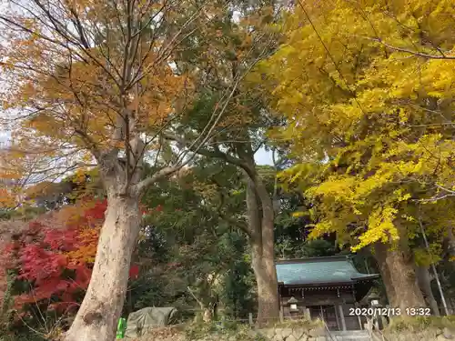 白岩神社の自然
