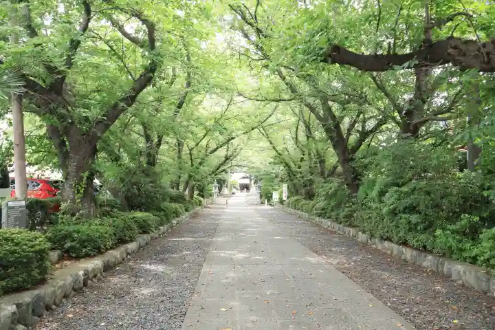 前鳥神社(神奈川県)