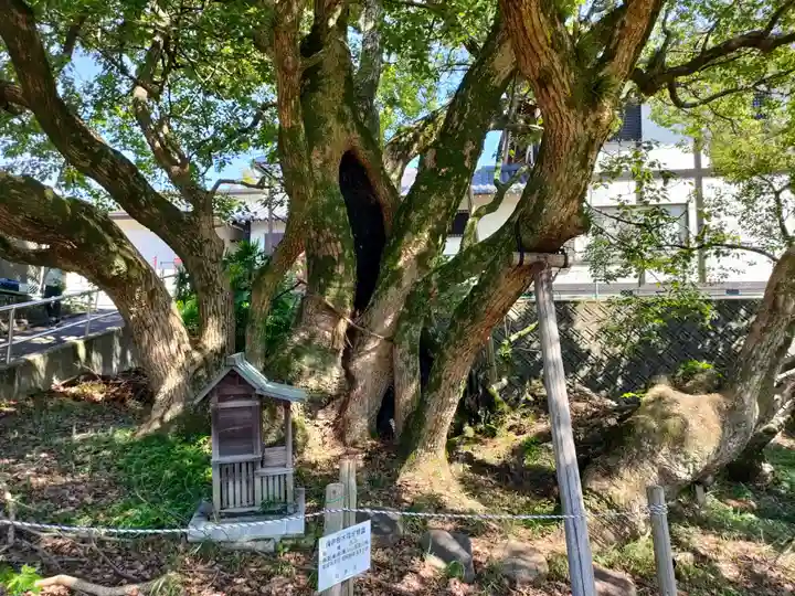 大智院(清水寺大智院)の自然
