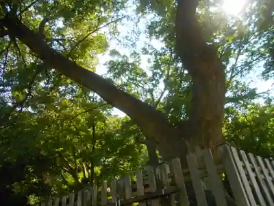 六代山不動院の自然