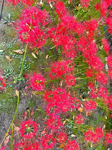 横浜　西方寺(神奈川県)