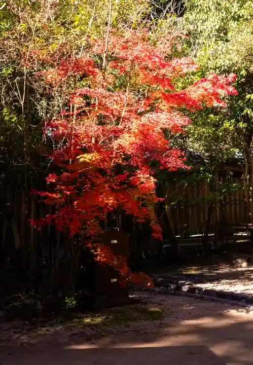 宇治上神社(京都府)