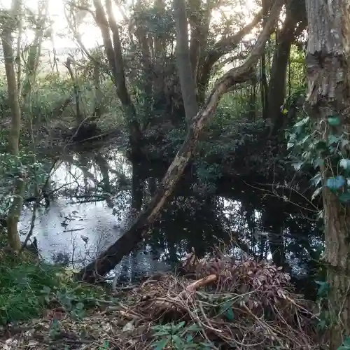 八龍神社の自然