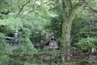 太宰府天満宮の{uncategorized: "未分類", other: "その他", undefined: "問題あり", building: "その他建物", grave: "お墓", sacred_gate: "鳥居", guardian: "狛犬", statue: "像", buddha: "仏像", history: "歴史", nature: "自然", garden: "庭園", animal: "動物", pagoda: "塔", temizu: "手水舎", mountain_gate: "山門・神門", sanctuary: "本殿・本堂", subordinate: "末社・摂社", art: "芸術", scenery: "景色", jizo: "地蔵", ema: "絵馬", goshuin: "御朱印", omikuji: "おみくじ", items: "授与品その他", amulet: "お守り", goshuincho: "御朱印帳", eats: "食事", festival: "お祭り", votive_dance: "神楽", shichigosan: "七五三参", wedding: "結婚式", experience: "体験その他", initially: "初詣", around: "周辺", anti_infection: "感染症対策"}