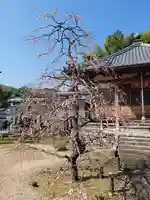 雲門寺(京都府)