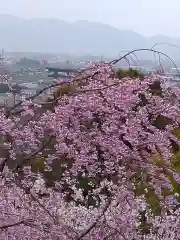 大神神社(奈良県)