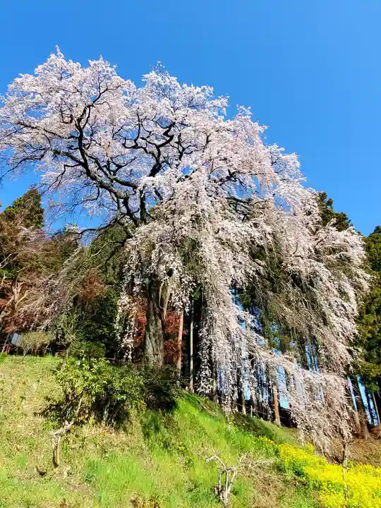 見渡神社の自然