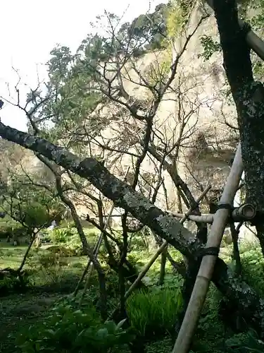 浄光明寺の自然