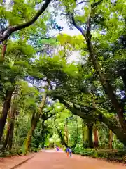 鹿島神宮の建物その他