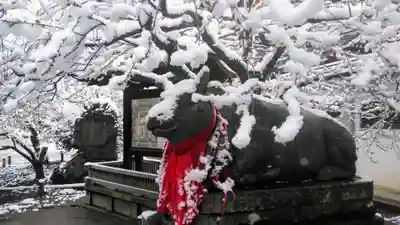 北野天満宮の狛犬