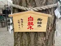 田無神社(東京都)