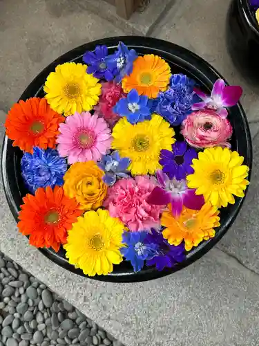 菅生神社(愛知県)