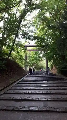 北海道神宮の鳥居