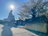 福徳院不動尊の{uncategorized: "未分類", other: "その他", undefined: "問題あり", building: "その他建物", grave: "お墓", sacred_gate: "鳥居", guardian: "狛犬", statue: "像", buddha: "仏像", history: "歴史", nature: "自然", garden: "庭園", animal: "動物", pagoda: "塔", temizu: "手水舎", mountain_gate: "山門・神門", sanctuary: "本殿・本堂", subordinate: "末社・摂社", art: "芸術", scenery: "景色", jizo: "地蔵", ema: "絵馬", goshuin: "御朱印", omikuji: "おみくじ", items: "授与品その他", amulet: "お守り", goshuincho: "御朱印帳", eats: "食事", festival: "お祭り", votive_dance: "神楽", shichigosan: "七五三参", wedding: "結婚式", experience: "体験その他", initially: "初詣", around: "周辺", anti_infection: "感染症対策"}