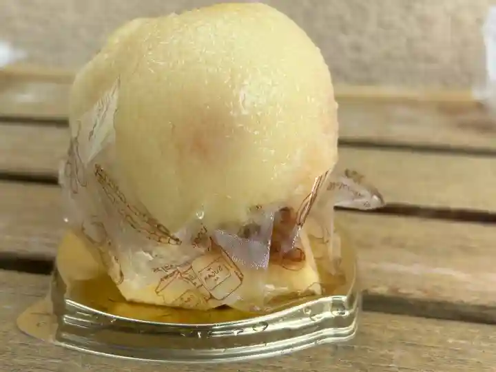 諏訪大社下社秋宮(長野県)