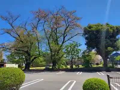 光明寺(栃木県)