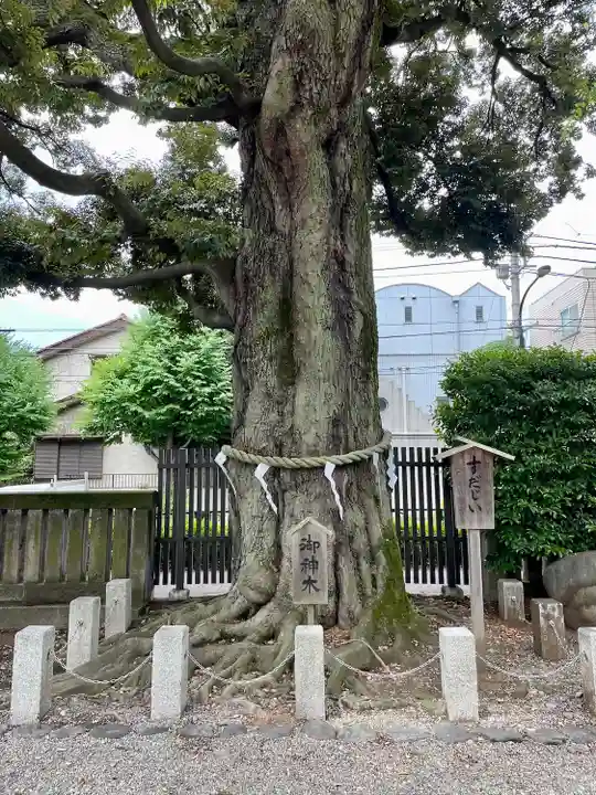 八幡大神社の自然