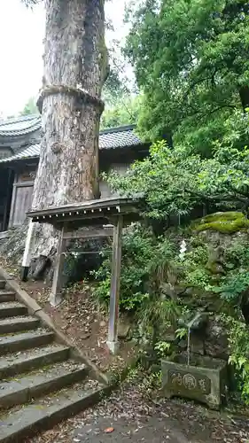 高雄神社の建物その他