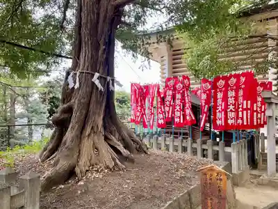 諏訪神社(東京都)