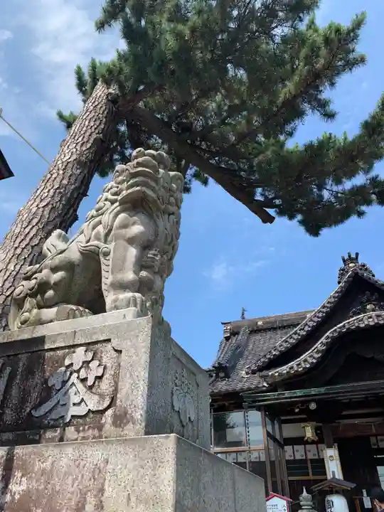 本折日吉神社の狛犬