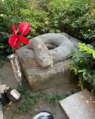 増上寺塔頭 三縁山 宝珠院の狛犬