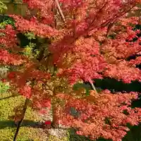 寿量山 速成寺の自然