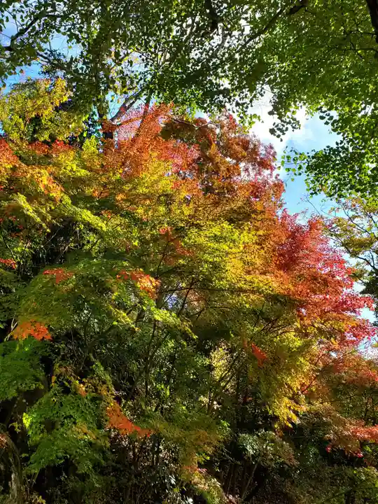 岩角山 岩角寺(福島県)