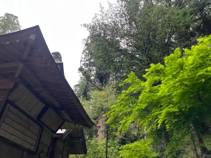大宮温泉神社(栃木県)
