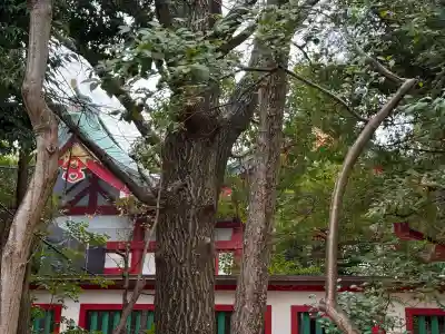 富岡八幡宮(東京都)