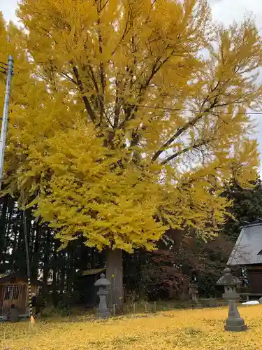 神明宮(青森県)