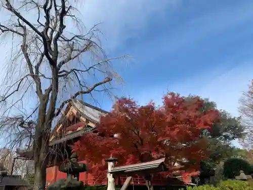 清水観音堂の自然