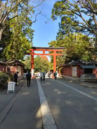 武蔵一宮氷川神社の鳥居