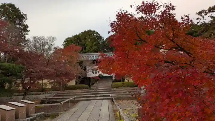 光明寺(粟生光明寺)(京都府)