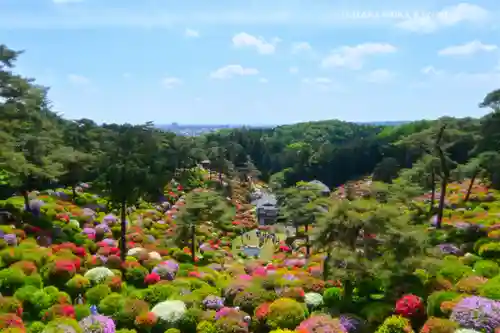塩船観音寺(東京都)