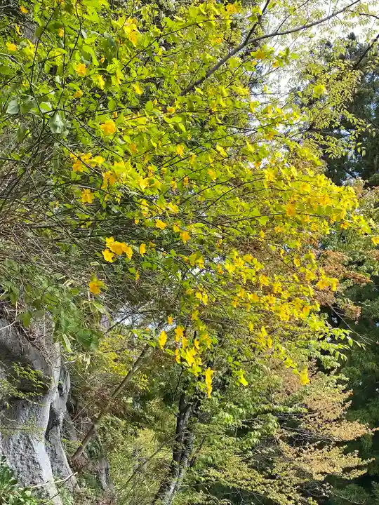 迦葉山龍華院弥勒護国寺(弥勒寺)(群馬県)