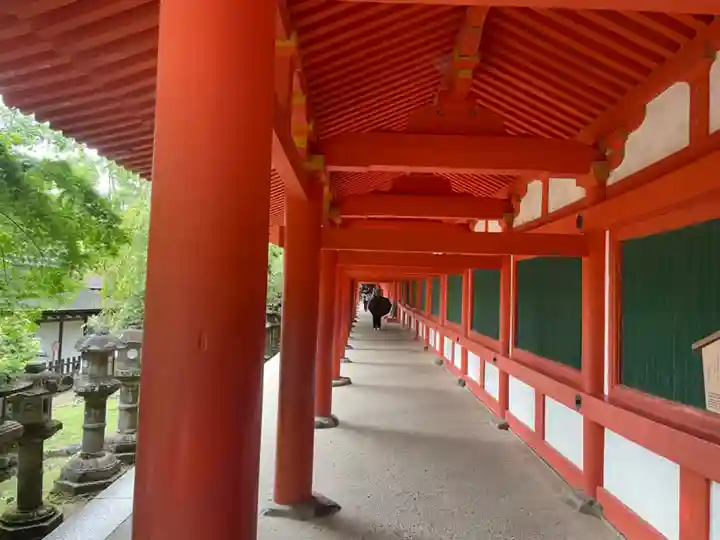 春日大社(奈良県)