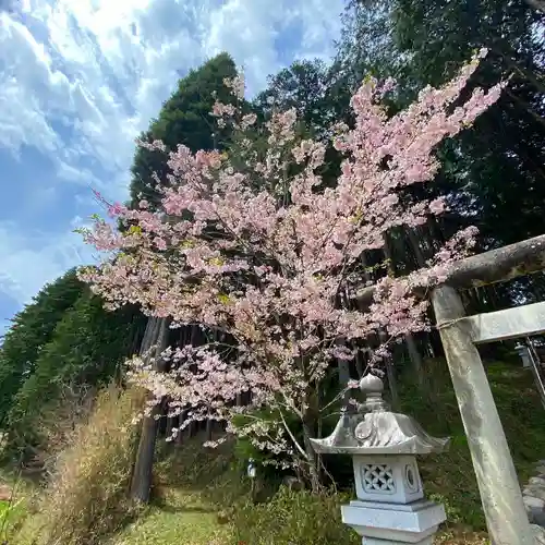日光大室高龗神社の自然