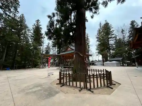穂高神社本宮(長野県)