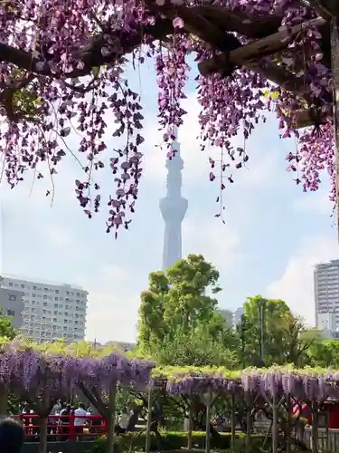 亀戸天神社の景色