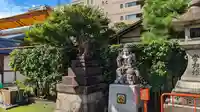 京都ゑびす神社(京都府)