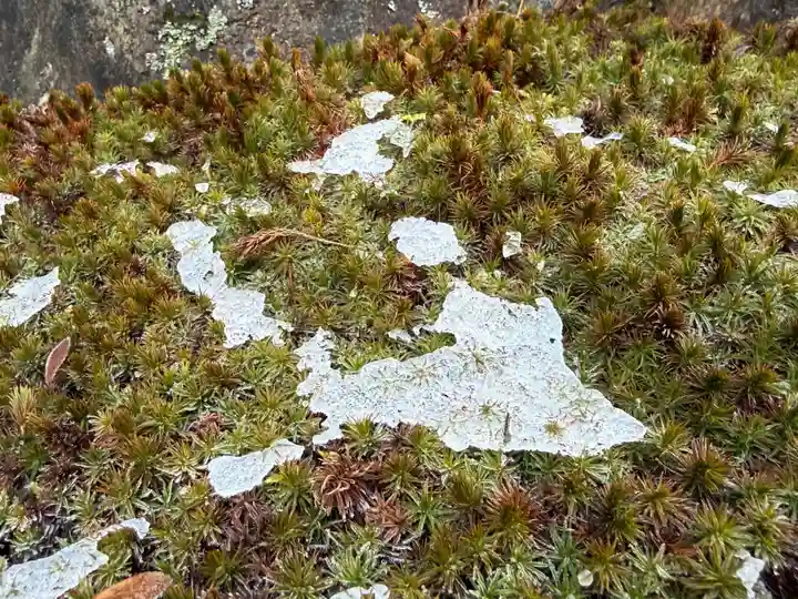 西方山極楽寺(岐阜県)