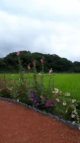二本松寺の自然