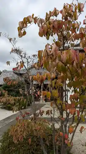 嘉祥寺(京都府)