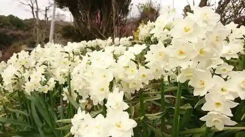 明鏡山龍雲寺の自然