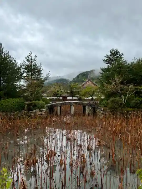 天龍寺の{uncategorized: "未分類", other: "その他", undefined: "問題あり", building: "その他建物", grave: "お墓", sacred_gate: "鳥居", guardian: "狛犬", statue: "像", buddha: "仏像", history: "歴史", nature: "自然", garden: "庭園", animal: "動物", pagoda: "塔", temizu: "手水舎", mountain_gate: "山門・神門", sanctuary: "本殿・本堂", subordinate: "末社・摂社", art: "芸術", scenery: "景色", jizo: "地蔵", ema: "絵馬", goshuin: "御朱印", omikuji: "おみくじ", items: "授与品その他", amulet: "お守り", goshuincho: "御朱印帳", eats: "食事", festival: "お祭り", votive_dance: "神楽", shichigosan: "七五三参", wedding: "結婚式", experience: "体験その他", initially: "初詣", around: "周辺", anti_infection: "感染症対策"}