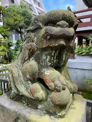 柏神社の狛犬