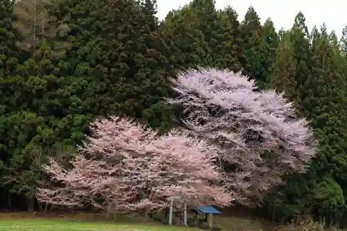 赤津稲荷神社の景色