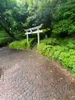 勝姫稲荷神社の鳥居