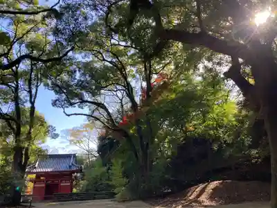 徳光院の山門・神門