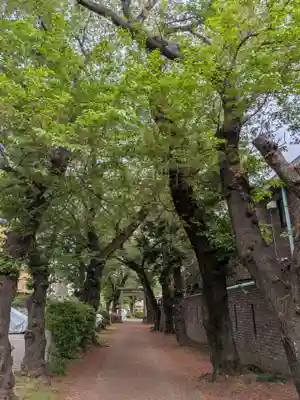 田端神社(東京都)